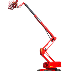 AR20J