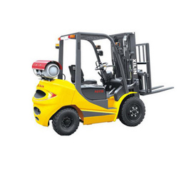 FGY25 2,5т 3,0М